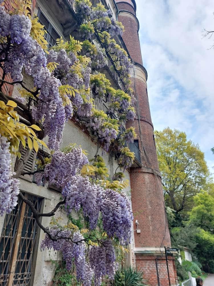 Trädgården Giardino Botanico