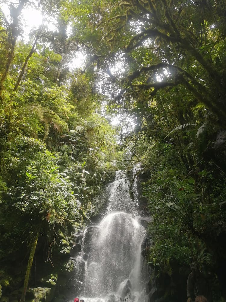 Braulio Carrillo National Park