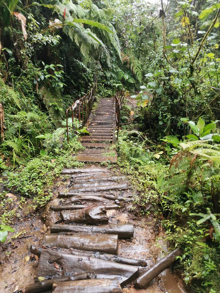 Braulio Carrillo National Park