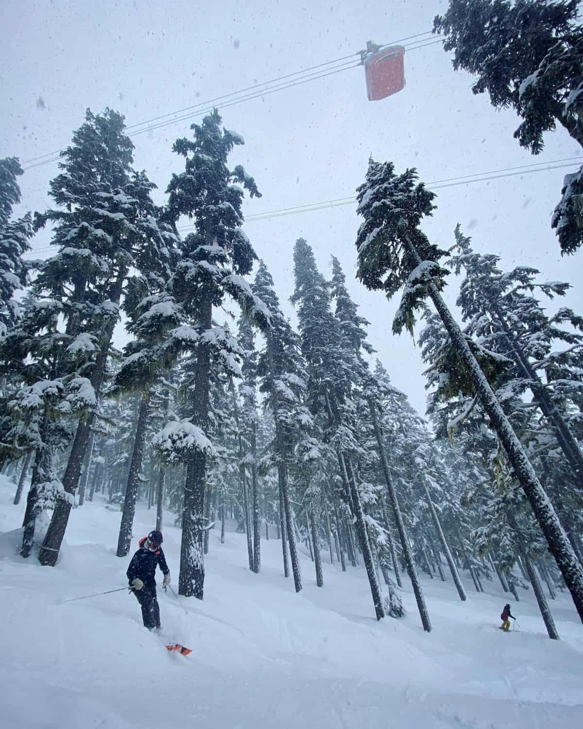 Function Junction Whistler Canada