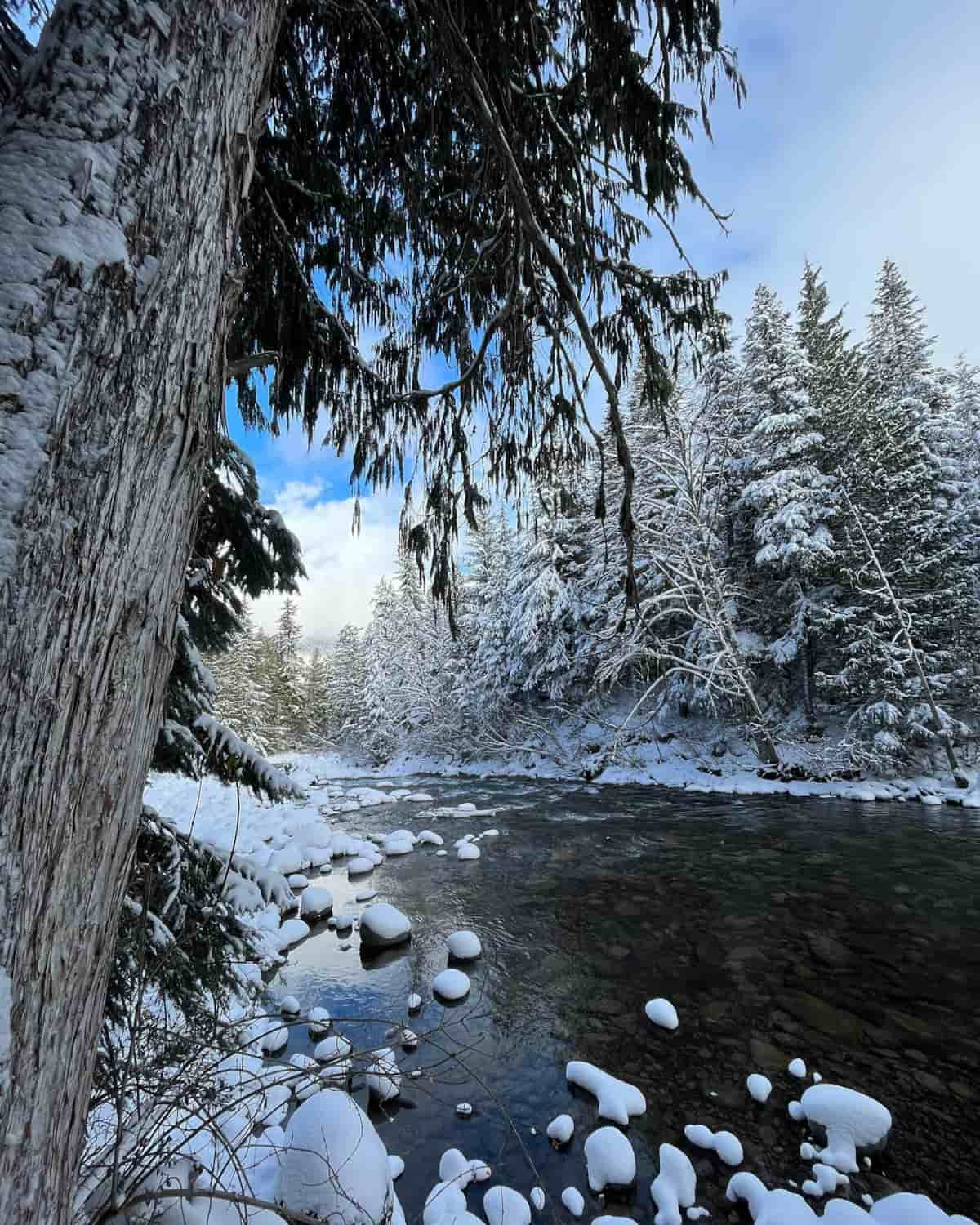 Function Junction Whistler Canada