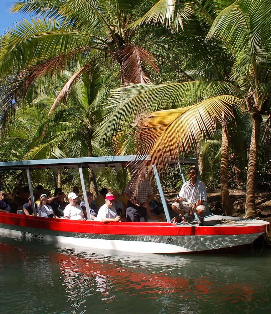 Mangrove tour