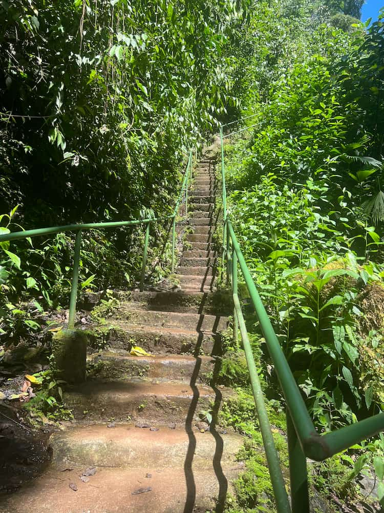 Hiking trail