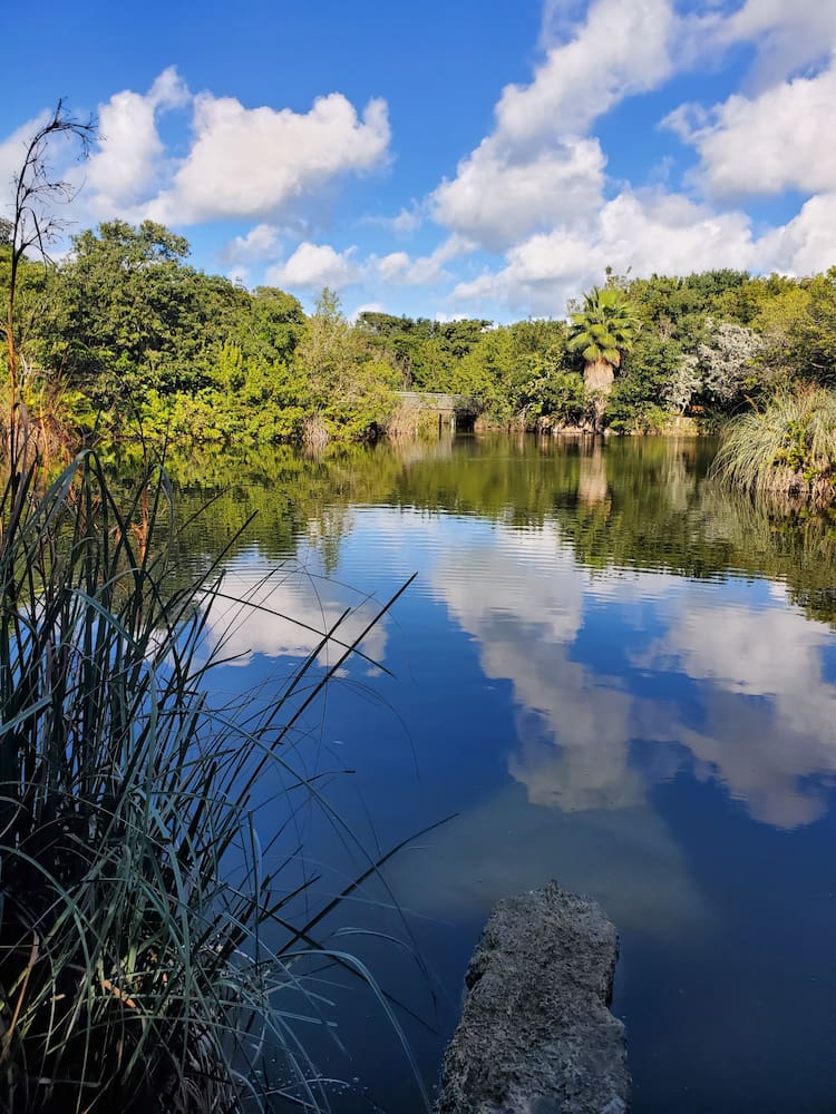 Key West Tropical Forest & Botanical Garden