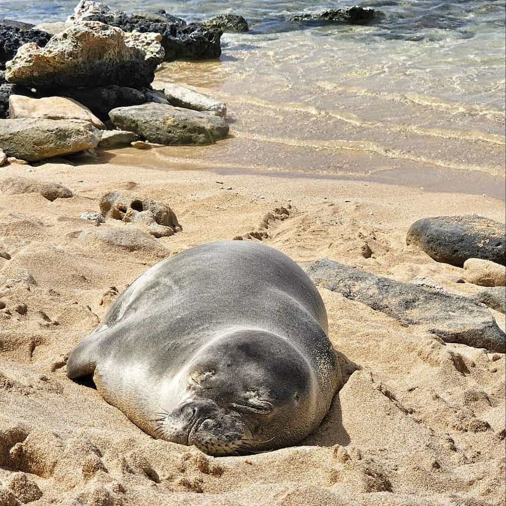 Oahu, Hawaii