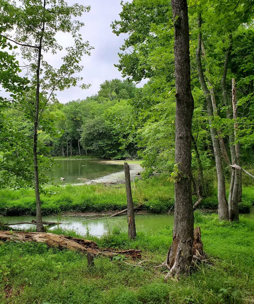 Radnor Gölü Eyalet Parkı