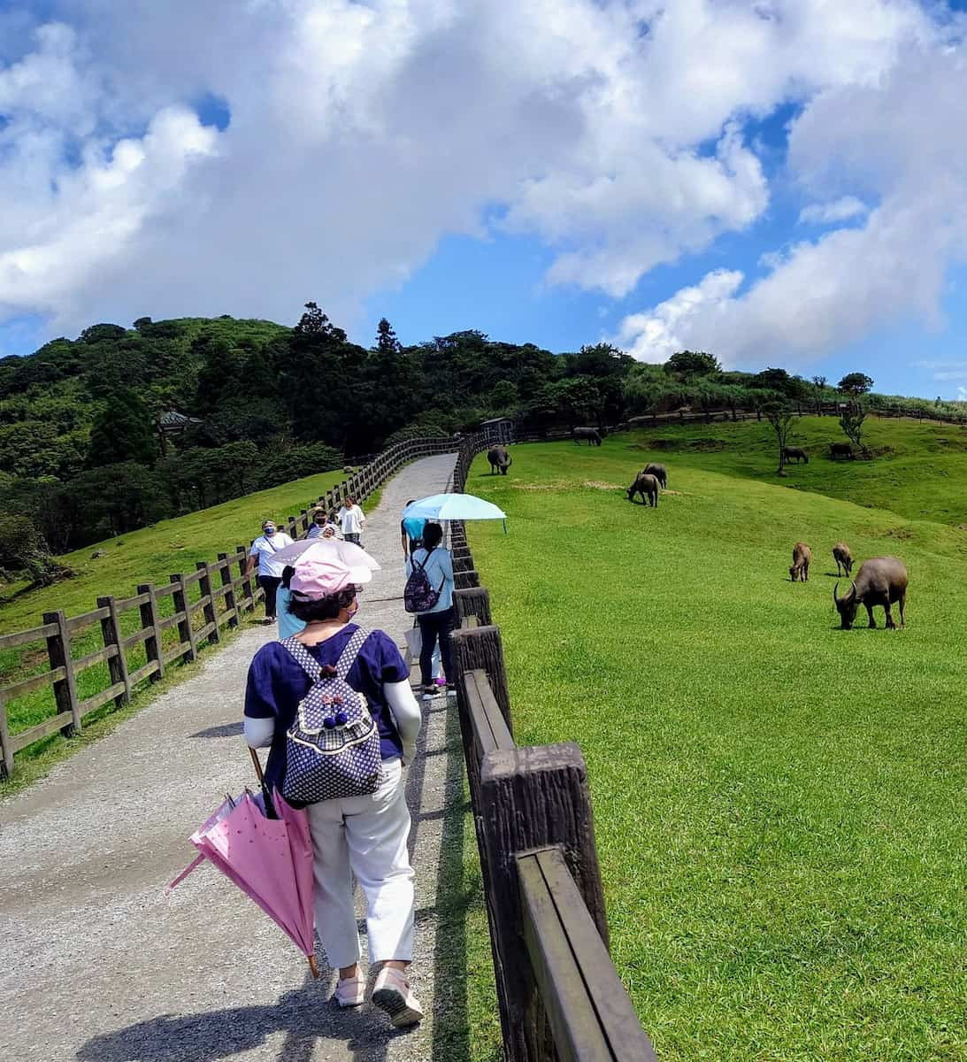 Yangmingshan National Park