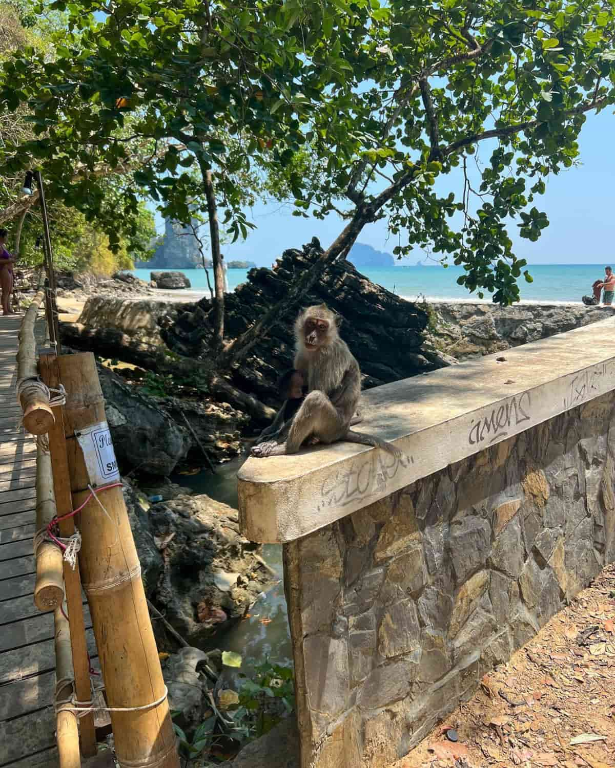 Ao Nang Krabi