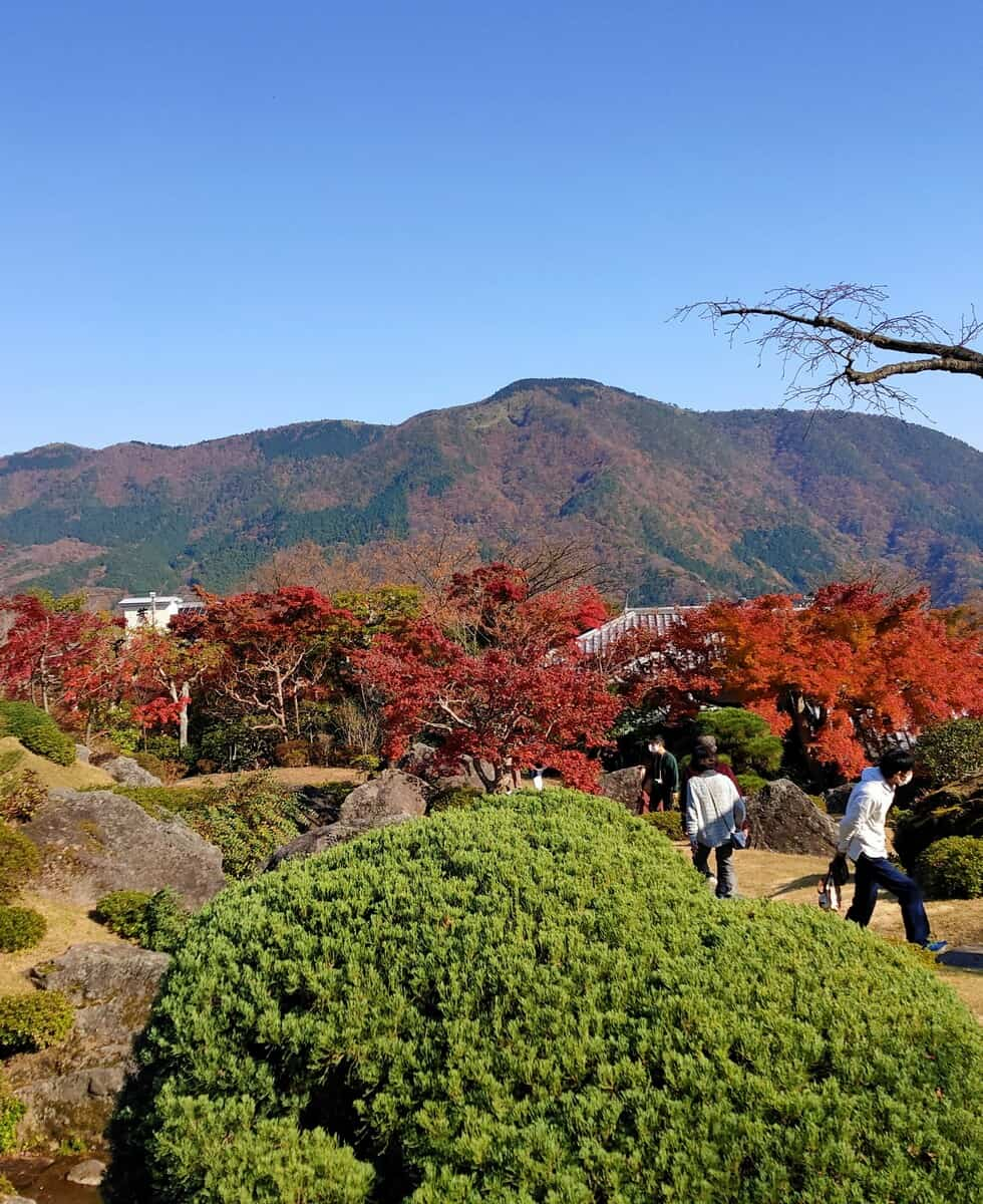 Hakone Gora Park