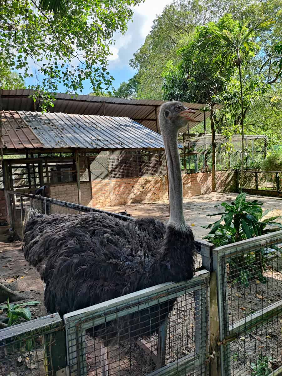 Penang Bird Park