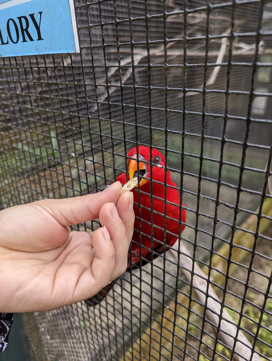 Penang Bird Park