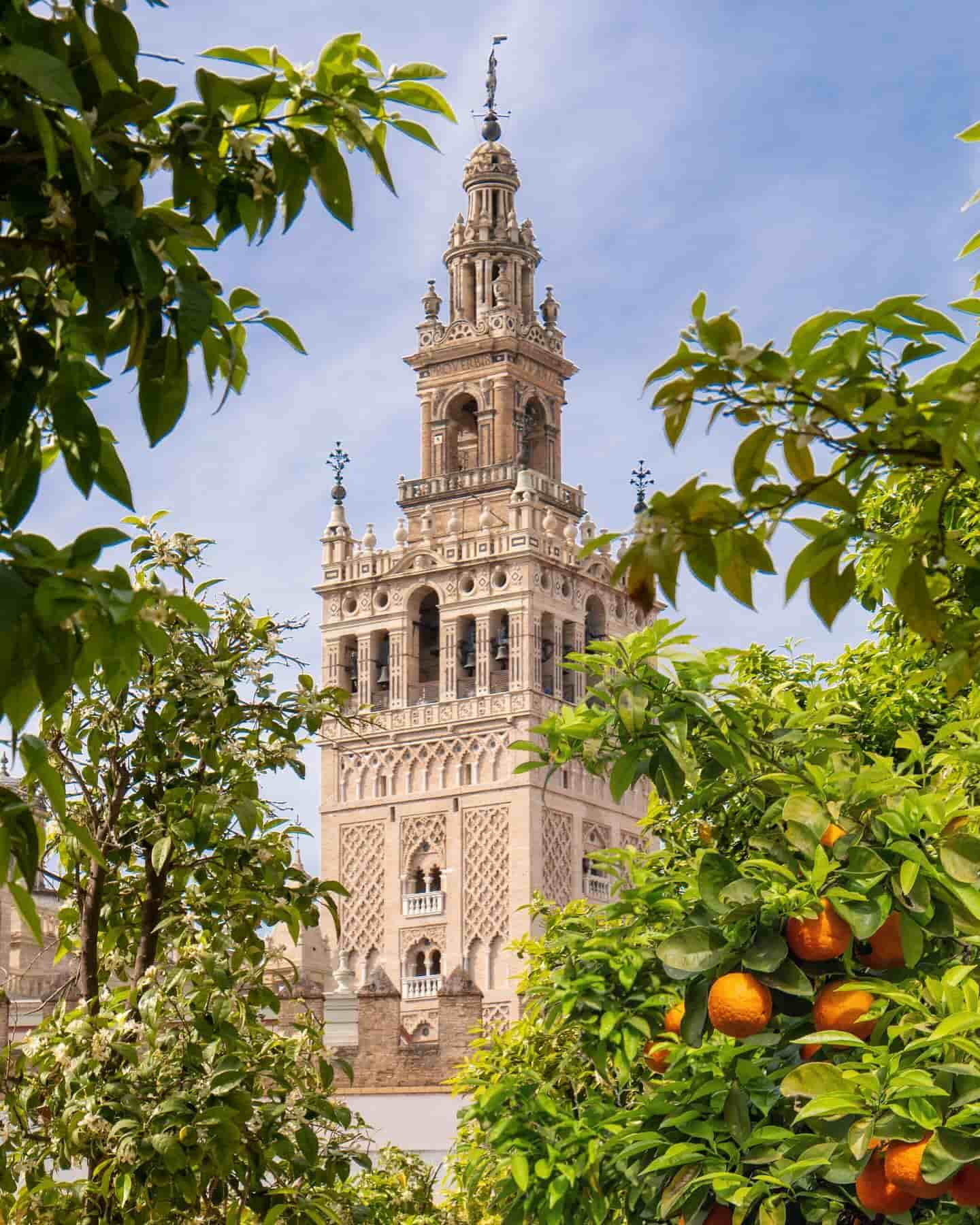 Sevilla Katedrali, İspanya