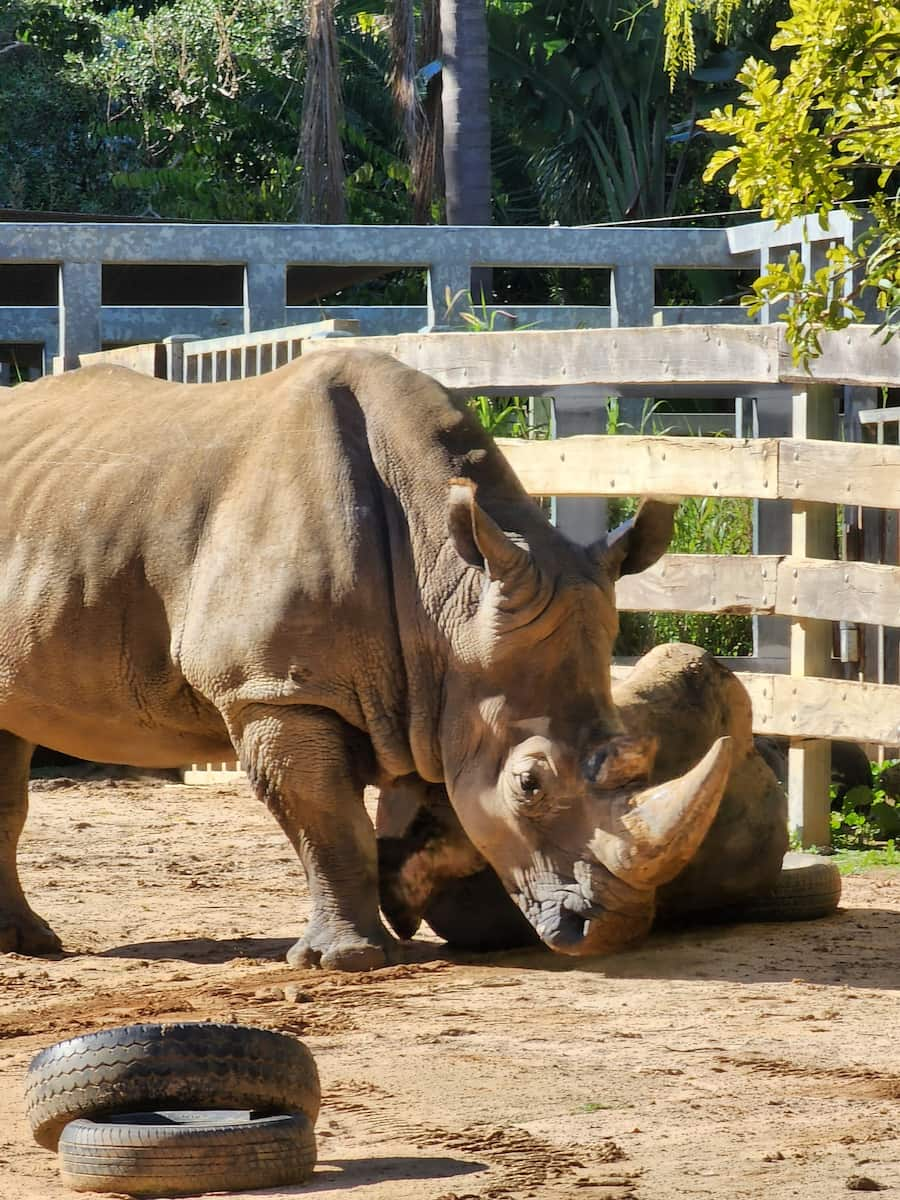 Perth Zoo