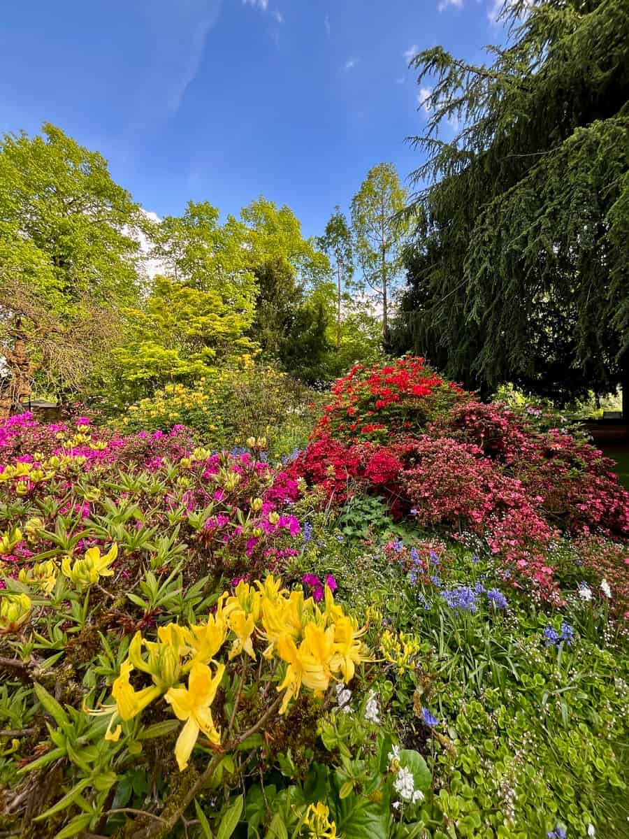 Fletcher Moss Park & Botanical Gardens