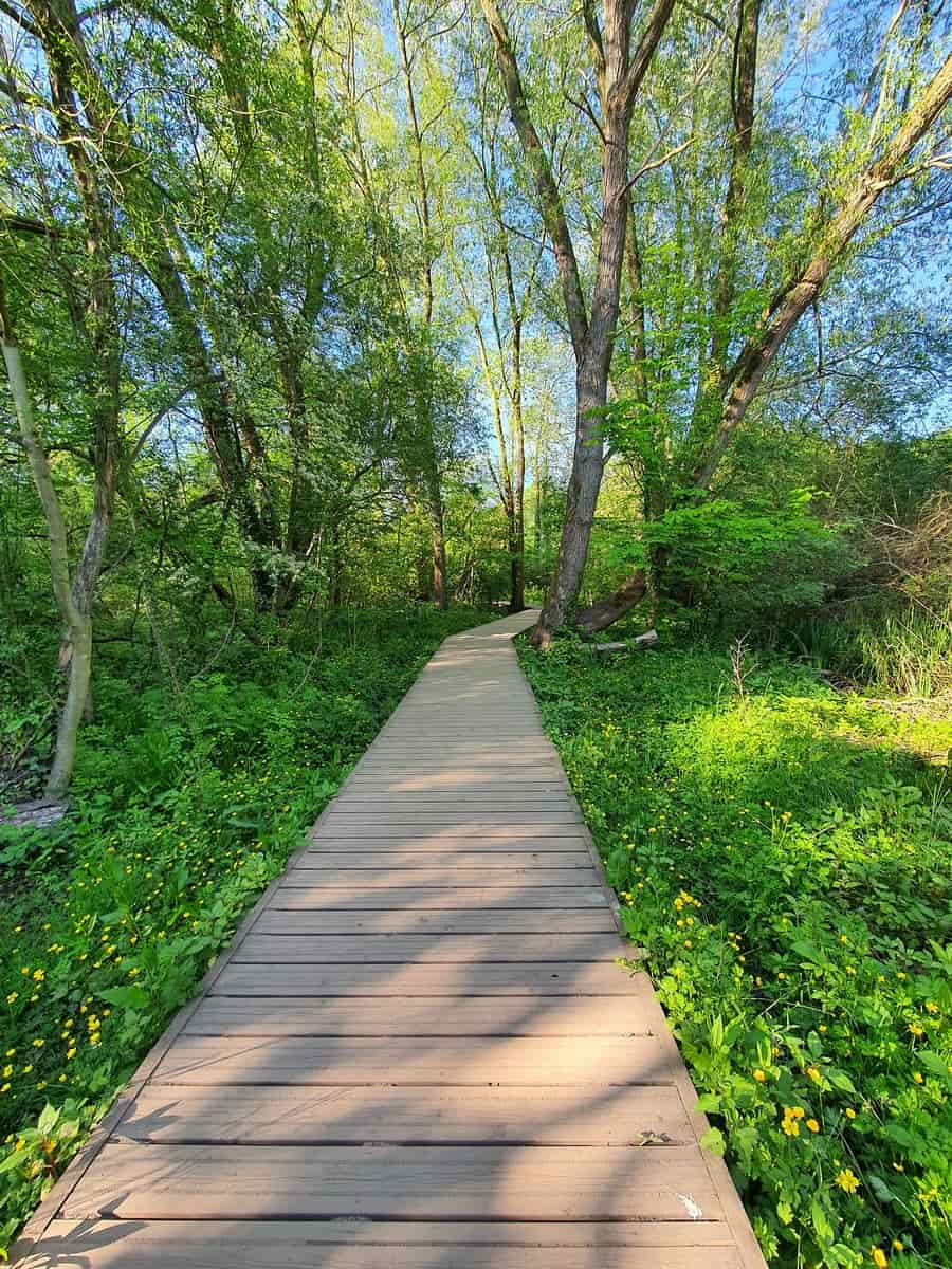 Fletcher Moss Park & Botanical Gardens