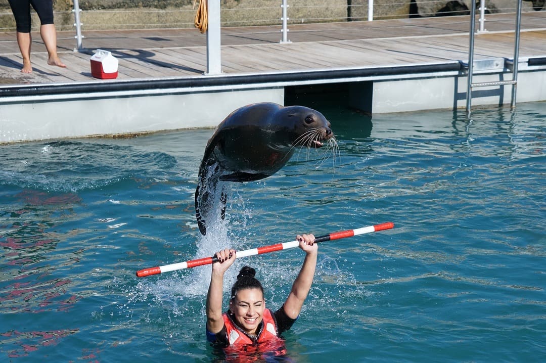 The Oceanarium Explorer