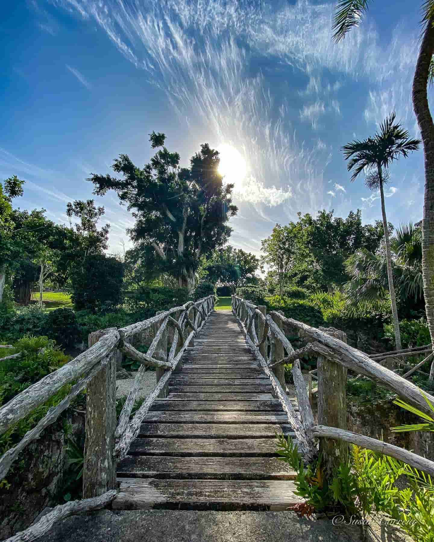 Bermuda Arboretum