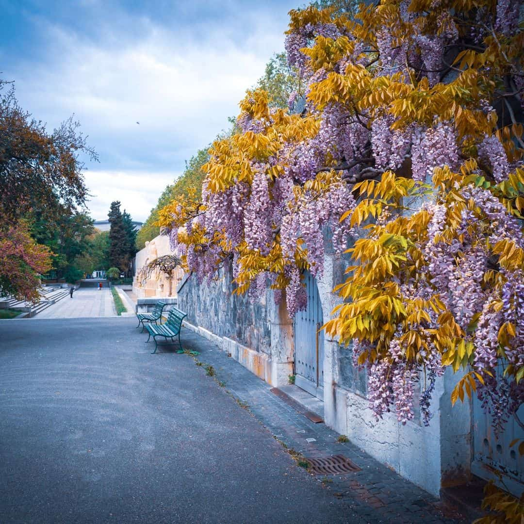 Parc des Bastions