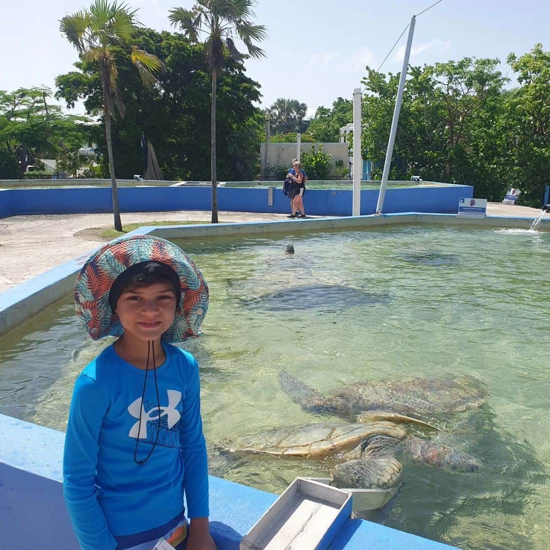 Cayman Turtle Centre