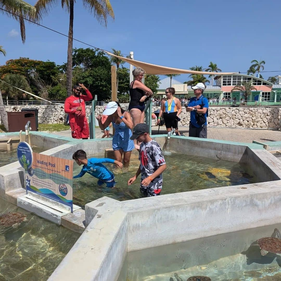 Cayman Turtle Centre