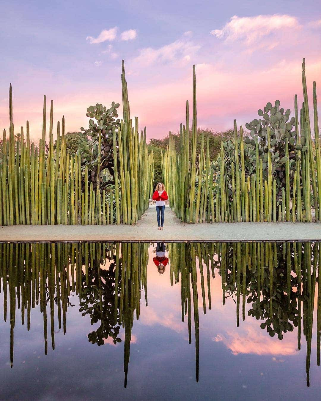 Ethnobotanical Garden, Oaxaca