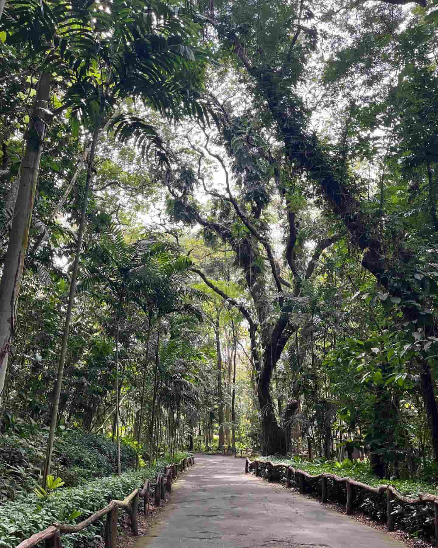 La Mesa Ecopark, Ph