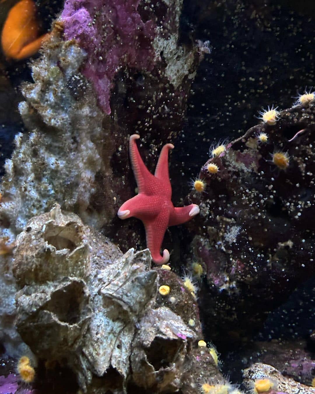 Seattle Aquarium