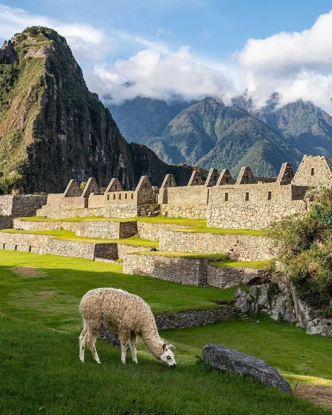 Machu Picchu, Peru