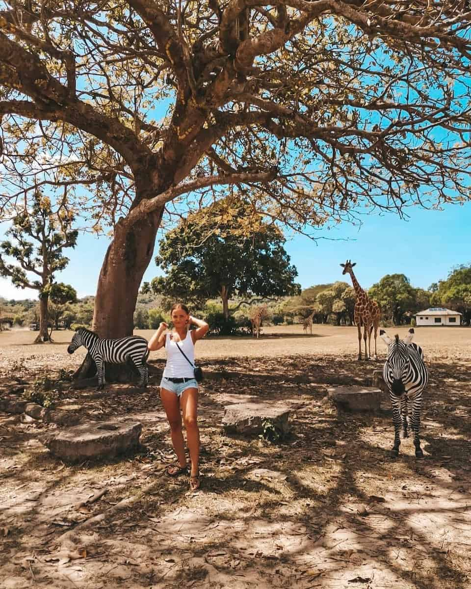 Calauit Safari Park