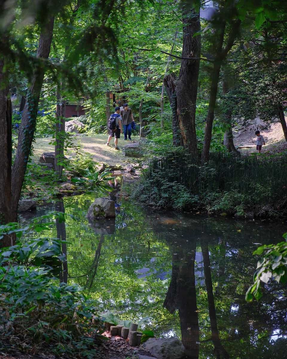 Hokkaido University