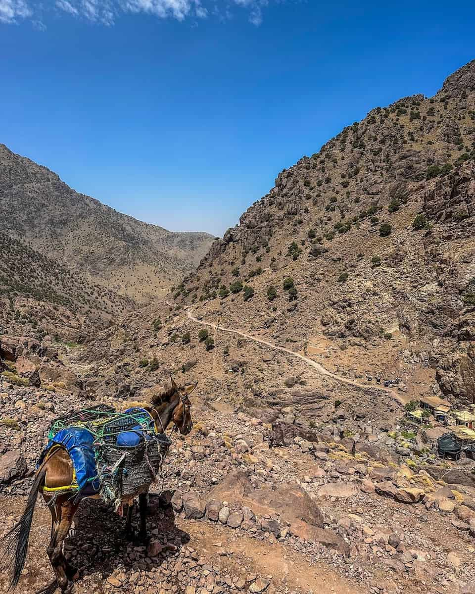 Atlas Mountains