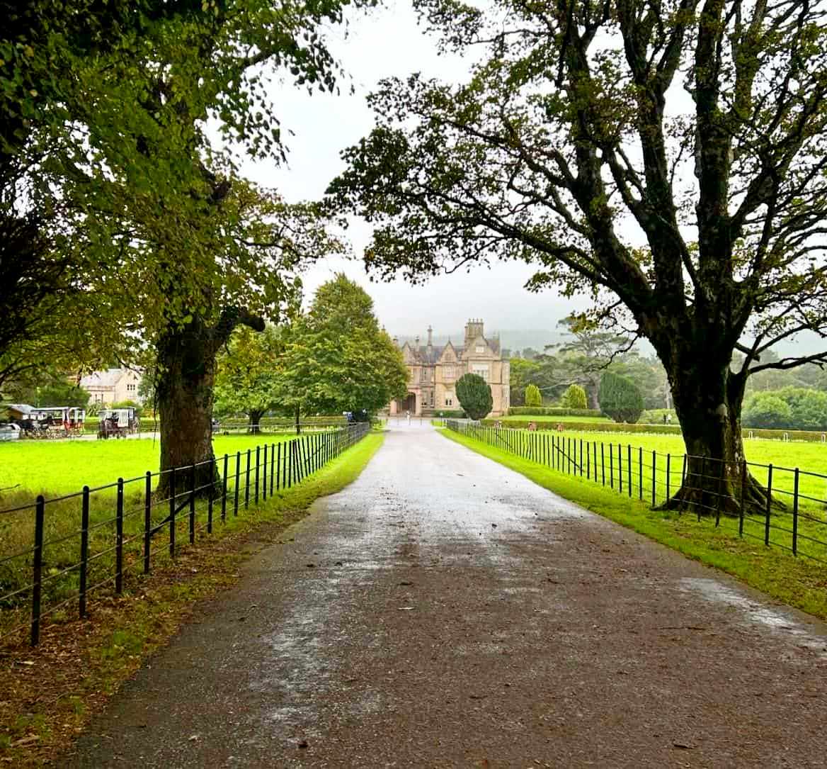 Killarney National Park