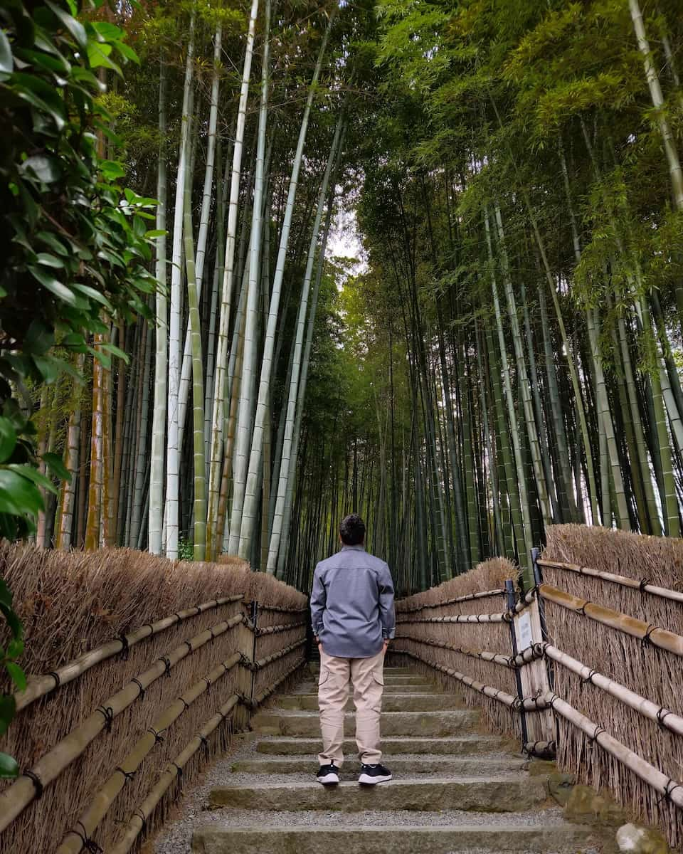 Kyoto, Arashiyama Bamboo Grove