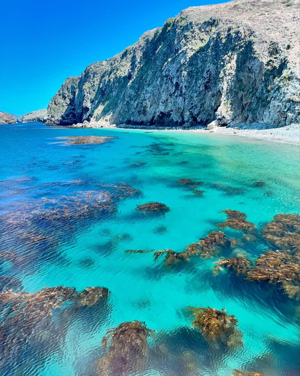 Santa Cruz Island, Galapagos Island