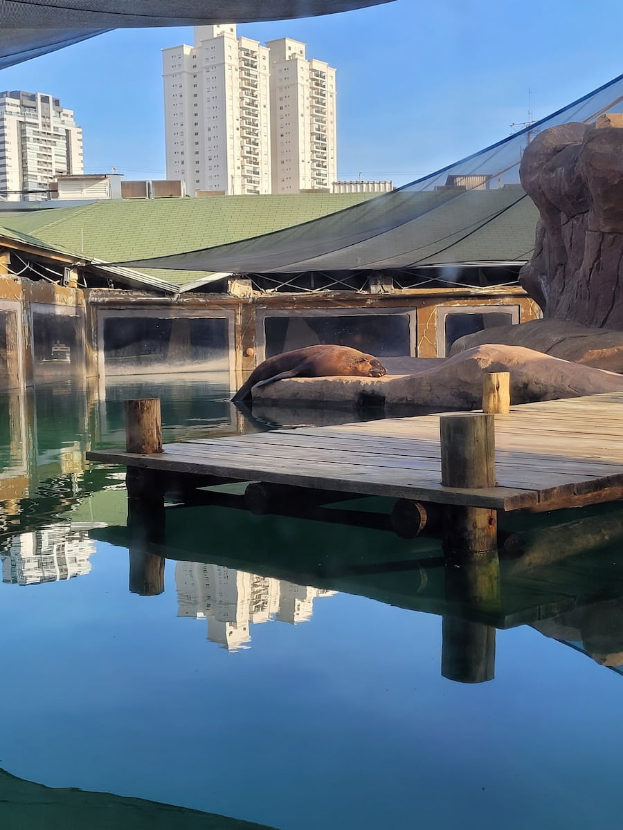 São Paulo, Aquarium