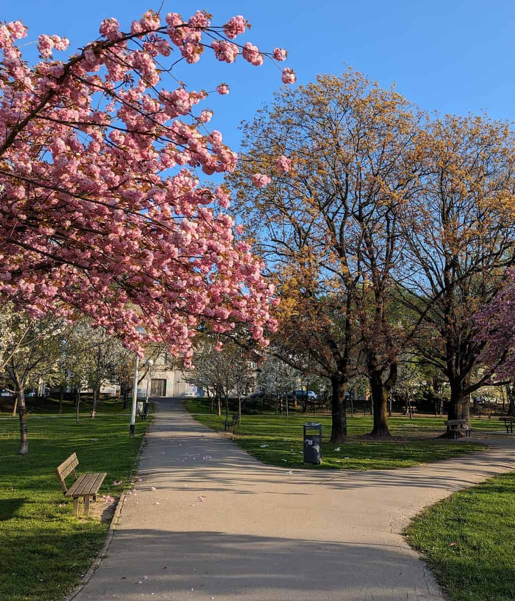 Zagreb, Park Stara Trešnjevka