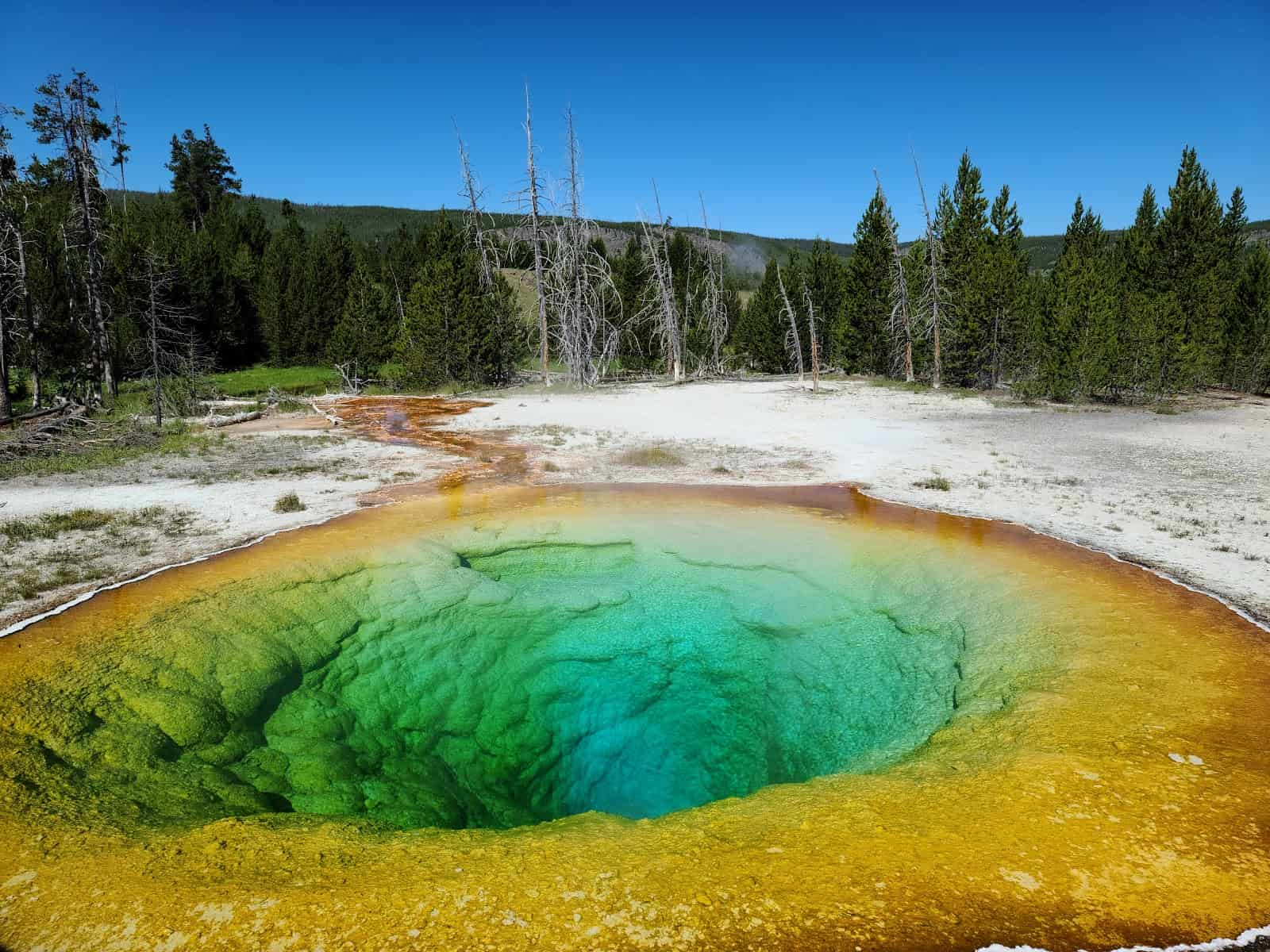 Yellowstone National Park, USA