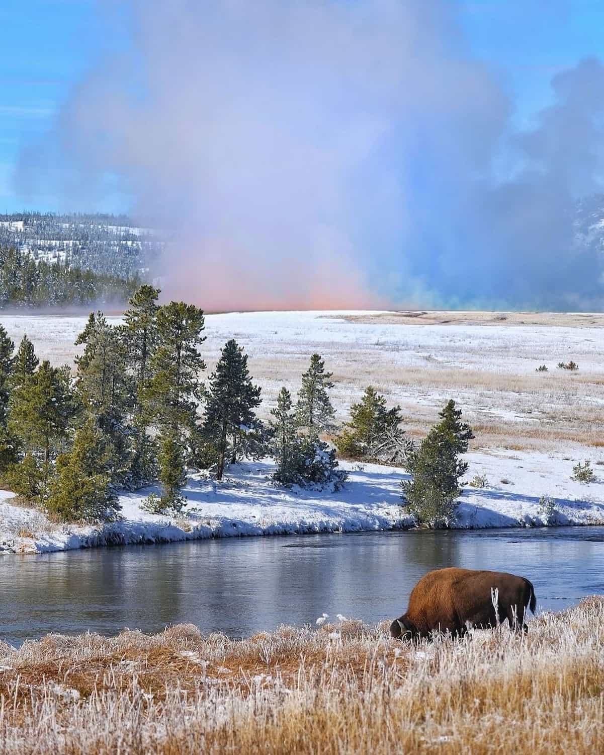 Yellowstone National Park, USA