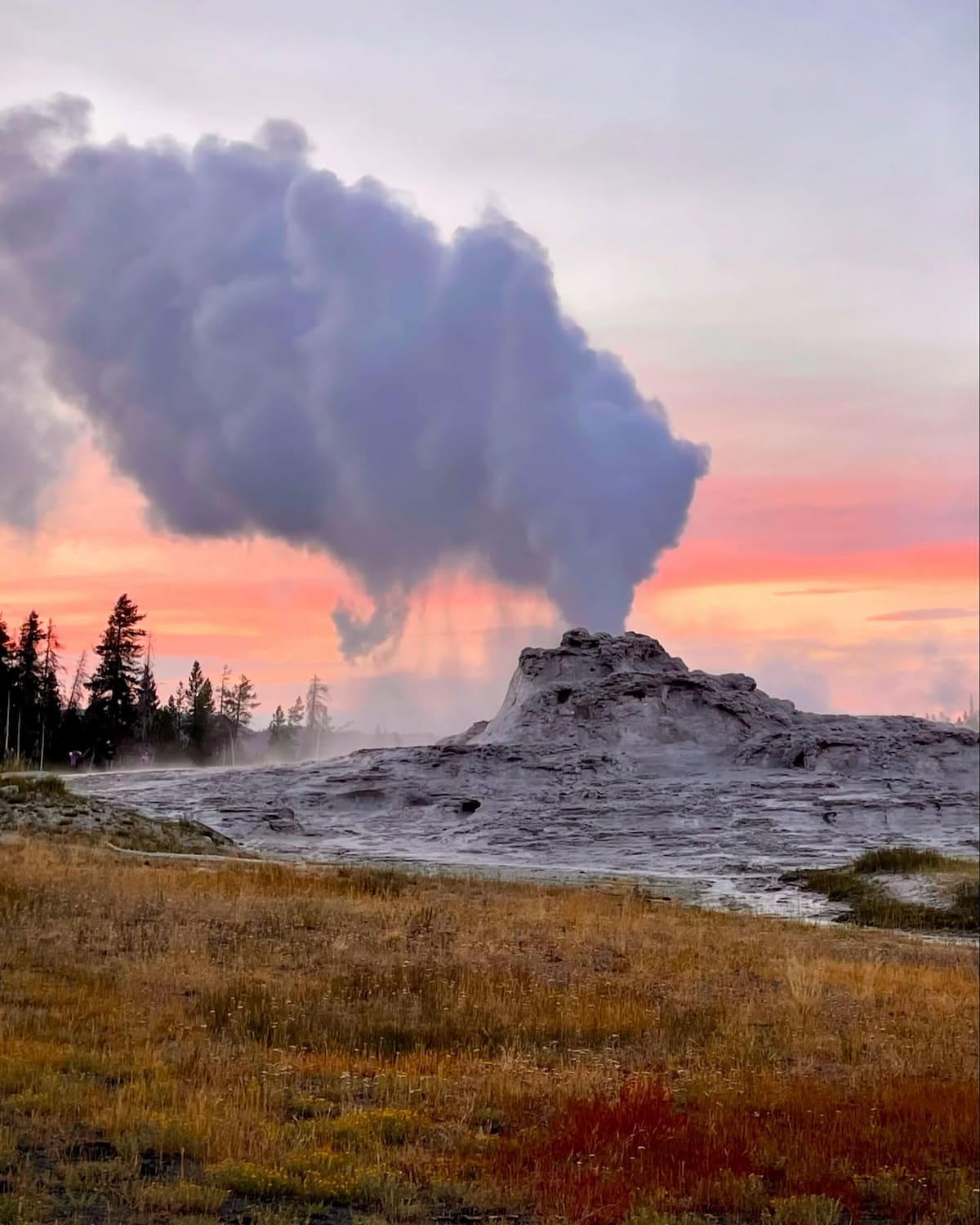 Yellowstone National Park, USA